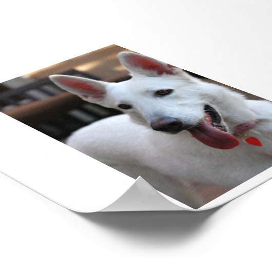 de duitse herder png poster (Hoek)