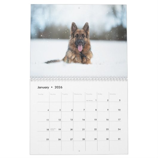 De Duitse herdershond 2021 kalender. Kalender (Jan 2026)