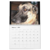 DE DUITSE KALENDAR SHEPHERD KALENDER (Feb 2027)