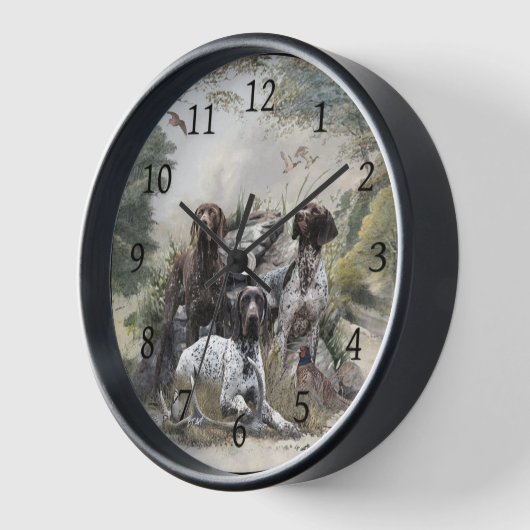 De Duitse kortharige pointer of Deutsch Kurzhaar (Hoek)