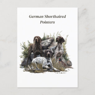 De Duitse kortharige pointer of Deutsch Kurzhaar Briefkaart