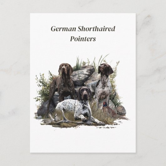 De Duitse kortharige pointer of Deutsch Kurzhaar Briefkaart (Voorkant)