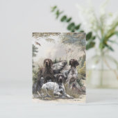 De Duitse kortharige pointer of Deutsch Kurzhaar Briefkaart (Staand voorkant)