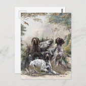 De Duitse kortharige pointer of Deutsch Kurzhaar Briefkaart (Voorkant / Achterkant)