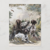 De Duitse kortharige pointer of Deutsch Kurzhaar Briefkaart (Voorkant)