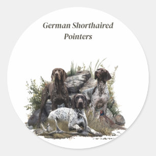 De Duitse kortharige pointer of Deutsch Kurzhaar Ronde Sticker