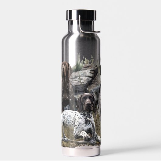 De Duitse kortharige pointer of Deutsch Kurzhaar Waterfles (Links)