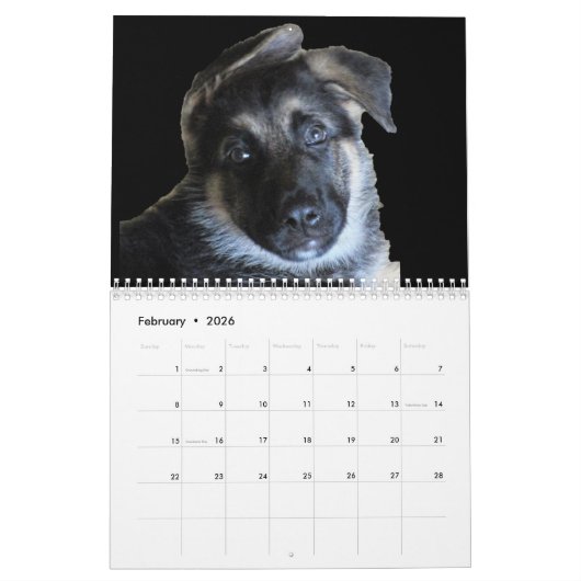 DE DUITSE SHEPHERD KALENDER (Feb 2026)
