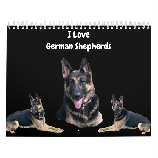 DE DUITSE SHEPHERD KALENDER (Hoes)
