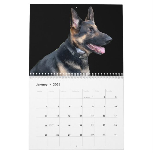 DE DUITSE SHEPHERD KALENDER (Jan 2026)