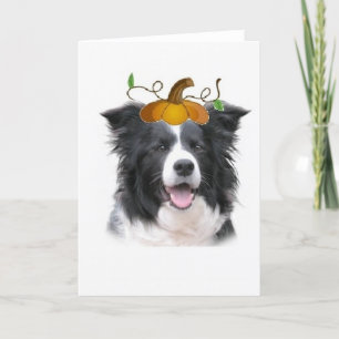 De duizelige Nota Card~Halloween van de Collie Kaart