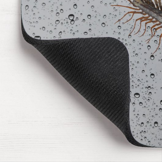 DE DUIZENDPOOT VAN HET HUIS MUISMAT (Hoek)