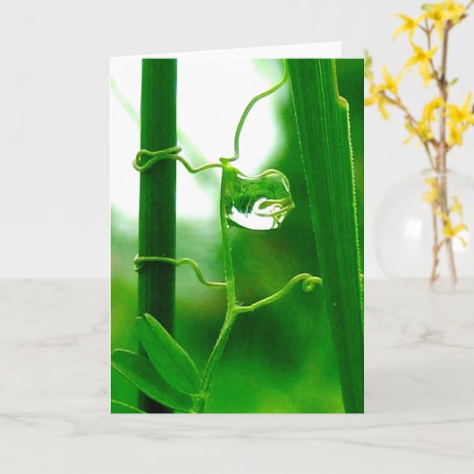 De dwaas, Tarot in Natuur, Nieuw Begin Kaart (Gele Bloem)