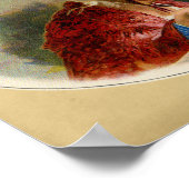 De  dwergdoos poster (Hoek)