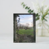 De Dying of the Day Thru an Abandoned Kirk door Briefkaart (Staand voorkant)