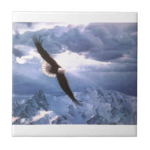 De Eagle weest het Storm Tegeltje