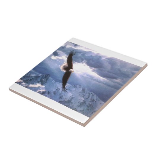 De Eagle weest het Storm Tegeltje (Zijkant)