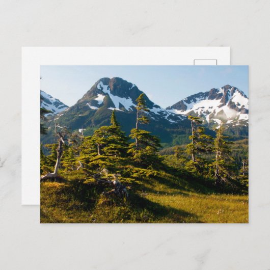 De Ecccles nabij Cordova, Alaska Briefkaart (Voorkant / Achterkant)