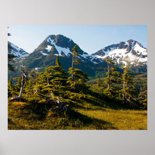 De Ecccles nabij Cordova, Alaska Poster (Voorkant)