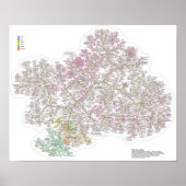 De echte levensboom poster (Voorkant)