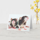 De echte Vrouwen bezitten Ratten! Kaart (Gele Bloem)