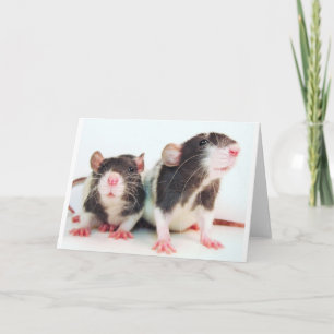 De echte Vrouwen bezitten Ratten! Kaart