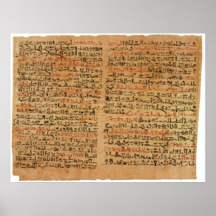 De Edwin Smith Papyrus Poster