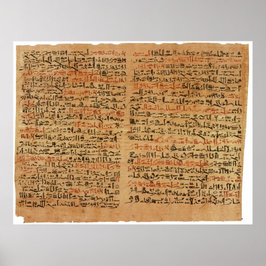 De Edwin Smith Papyrus Poster (Voorkant)