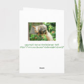 De eekhoorn die zich aan Birdfeeder vastklampen, Kaart (Achterkant)