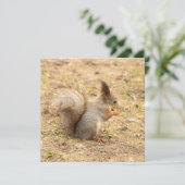 De eekhoorn eet een moerfoto (Staand voorkant)