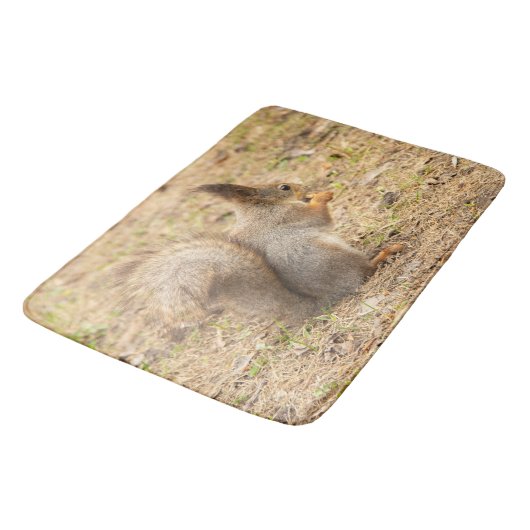 De eekhoorn eet een moerfoto badmat (Gekanteld)