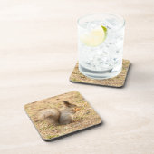 De eekhoorn eet een moerfoto bier onderzetter (Rechterzijde)