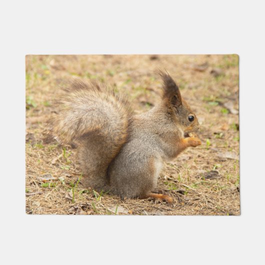De eekhoorn eet een moerfoto deurmat (Voorkant)