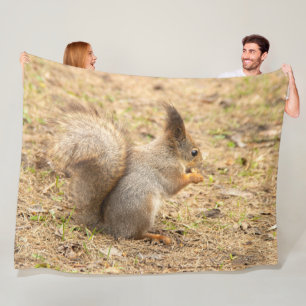 De eekhoorn eet een moerfoto fleece deken