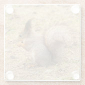 De eekhoorn eet een moerfoto glazen onderzetter (Achterkant)