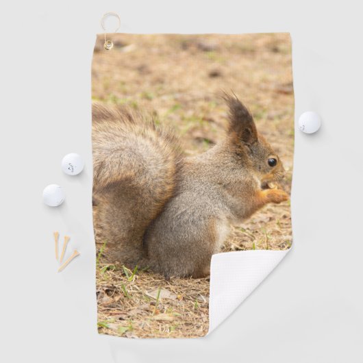 De eekhoorn eet een moerfoto golfhanddoek (Insitu)