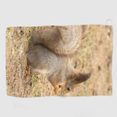 De eekhoorn eet een moerfoto golfhanddoek (Horizontaal)