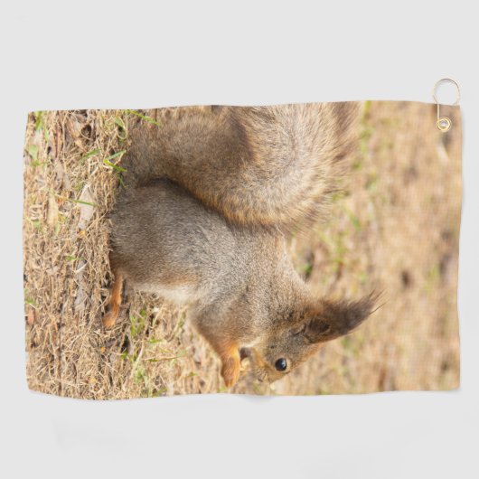 De eekhoorn eet een moerfoto golfhanddoek (Horizontaal)