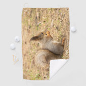 De eekhoorn eet een moerfoto golfhanddoek (Insitu)