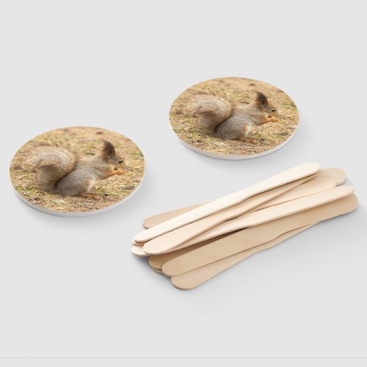 De eekhoorn eet een moerfoto handwaaier (Niet-gemonteerd)