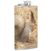 De eekhoorn eet een moerfoto heupfles (Rechts)