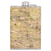 De eekhoorn eet een moerfoto heupfles (Achterkant)