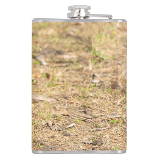 De eekhoorn eet een moerfoto heupfles (Achterkant)