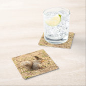 De eekhoorn eet een moerfoto kartonnen onderzetters (Insitu)