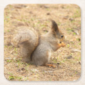 De eekhoorn eet een moerfoto kartonnen onderzetters (Voorkant)