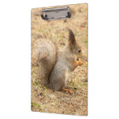 De eekhoorn eet een moerfoto klembord (Links)