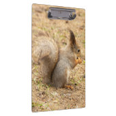 De eekhoorn eet een moerfoto klembord (Rechts)