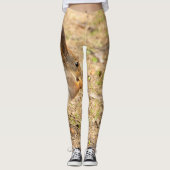 De eekhoorn eet een moerfoto leggings (Voorkant)