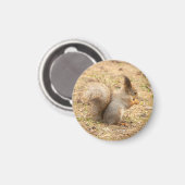 De eekhoorn eet een moerfoto magneet (Voorkant / Achterkant)