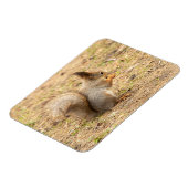 De eekhoorn eet een moerfoto magneet (Linkerzijde)